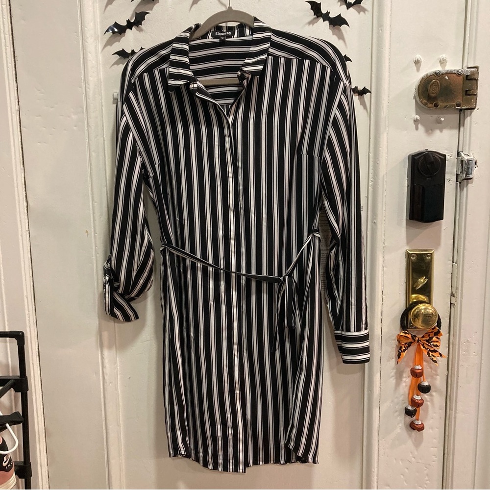Express Striped Shirt Dress